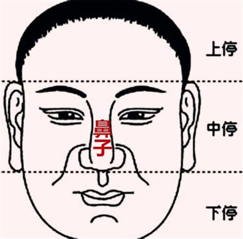 白鼻毛面相|「面相」鼻為面王，鼻子看你性格和財運！